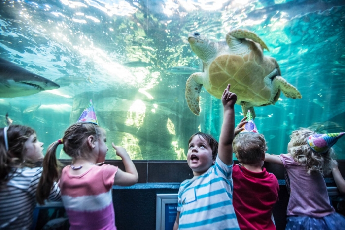 2. Two Ocean´s Aquarium en Ciudad del Cabo